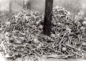 Auschwitz, Poland, 1945, A pile of human bones, after the liberation.